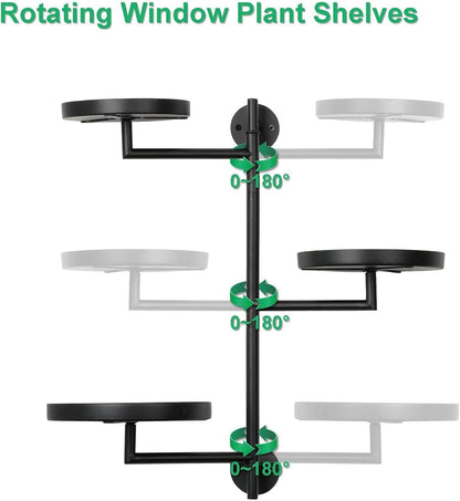 Rotating Wall Plant Shelf — B1G1 Free