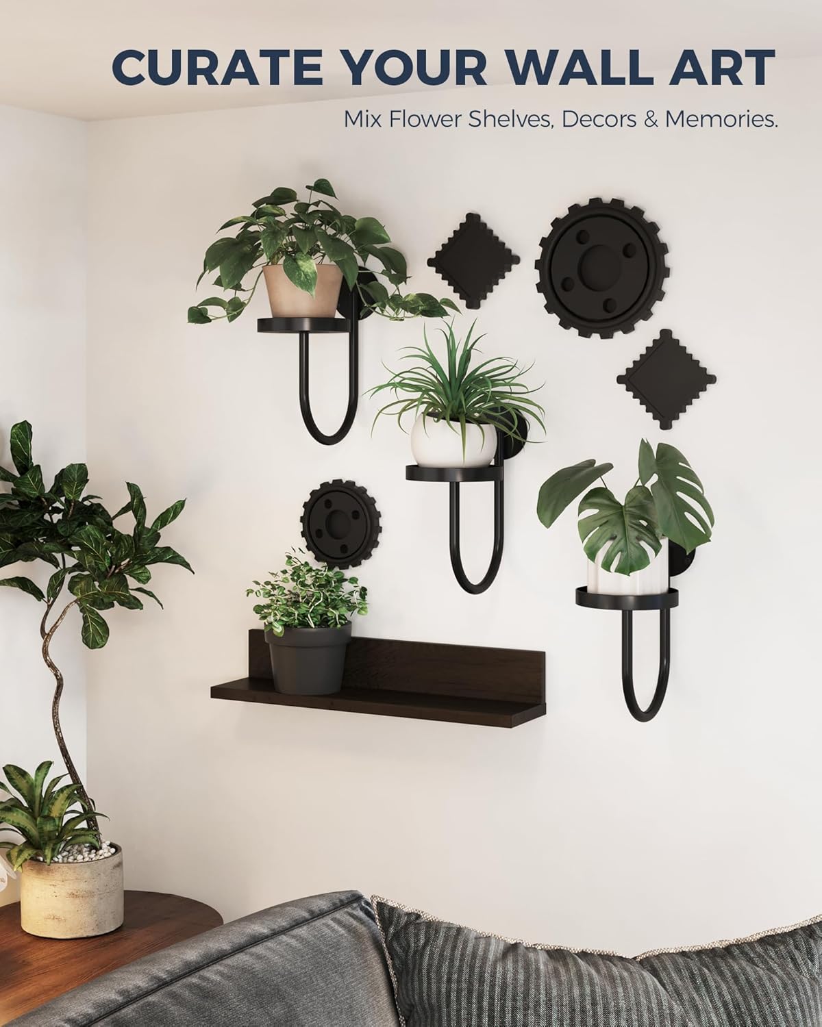 Float Shelf — Wall Mounted Plant Perch (B2G1 Free)