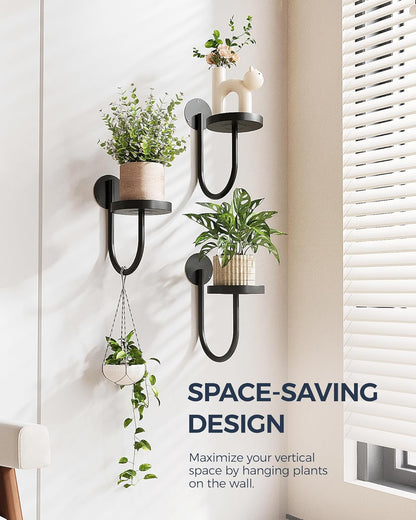 Float Shelf — Wall Mounted Plant Perch (B2G1 Free)