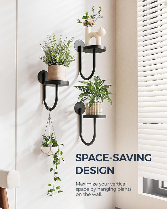 Float Shelf — Wall Mounted Plant Perch (B2G1 Free)